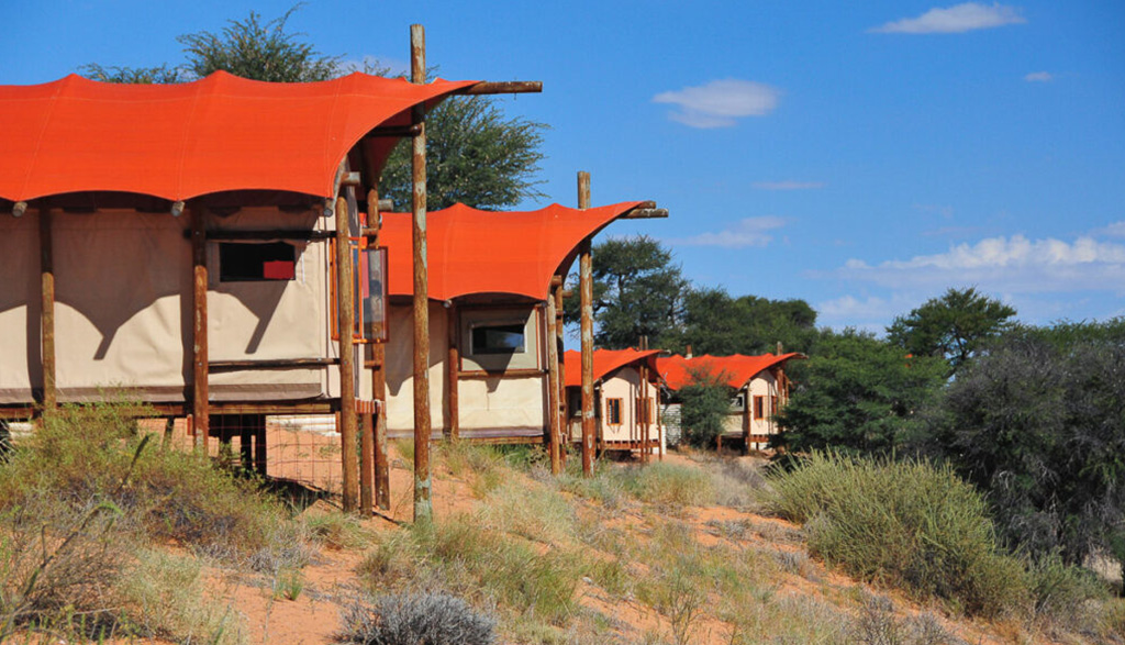 Kgalagadi Park – Kalahari Tented Camp - SA Parks